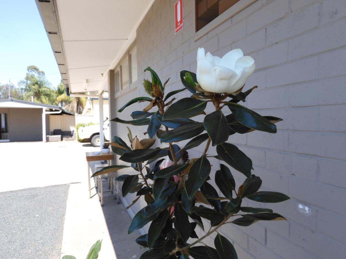 Dalby Parkview Motel Εξωτερικό φωτογραφία